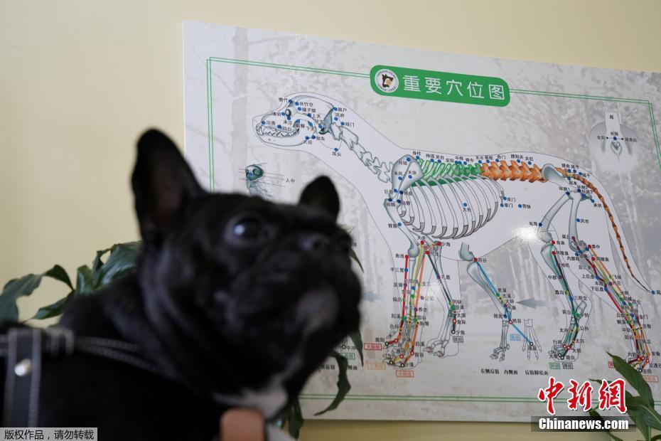 ????? ???? ???? ????? ?????? ????????? ??????? ?? ???????