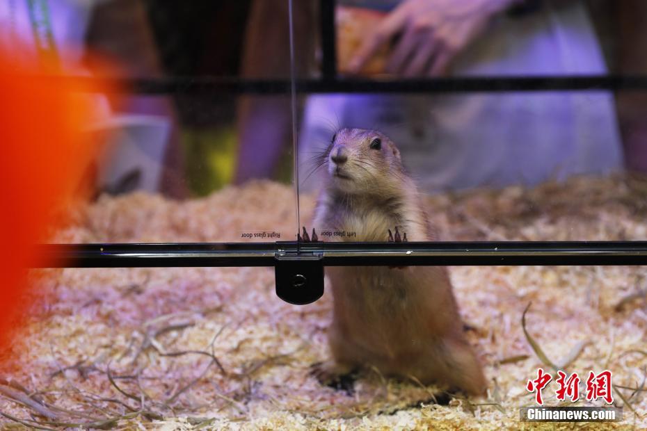 ??????? ??????? ???? ?????? ?? ???????