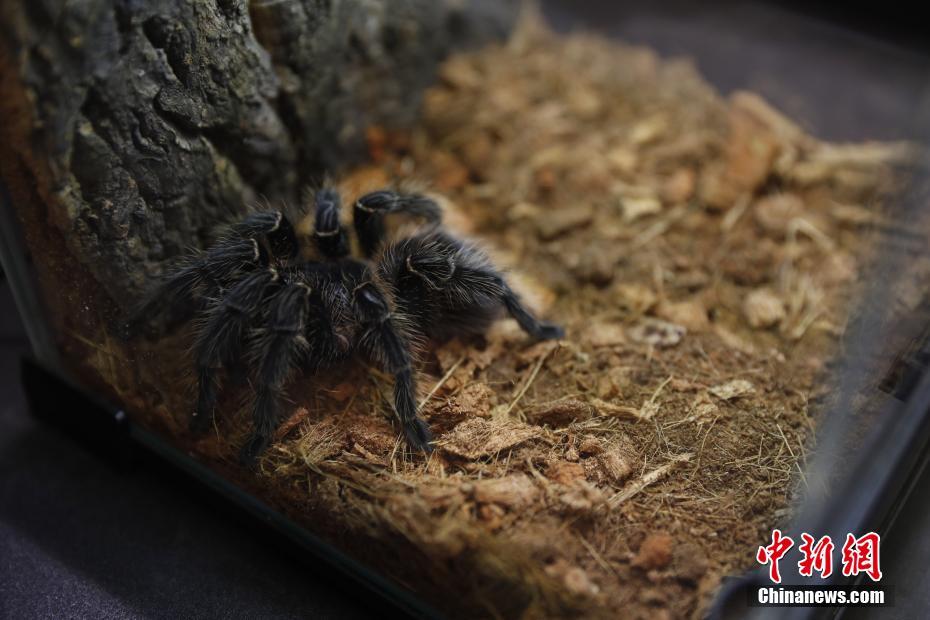 ??????? ??????? ???? ?????? ?? ???????