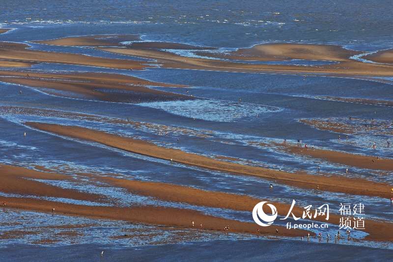 ?????? ???? ????? ?? ???? ???? ???? ????