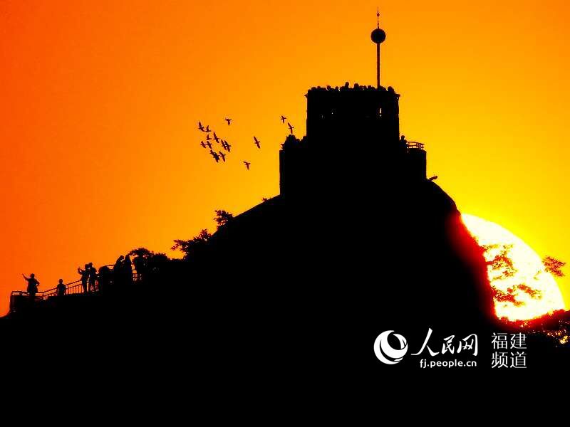 ?????? ???? ????? ?? ???? ???? ???? ????