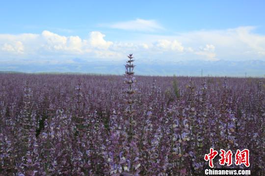 ??? ?? ?????? ????????? ?? ?????? ????????