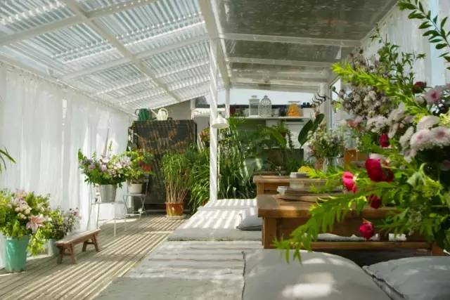 ????? ?? ??? ?????? ????????: ???? ????? ??????? ??????