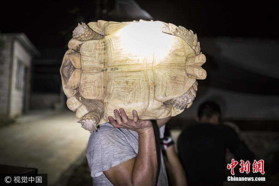 200 ?????? ??????? ???? ???????? 