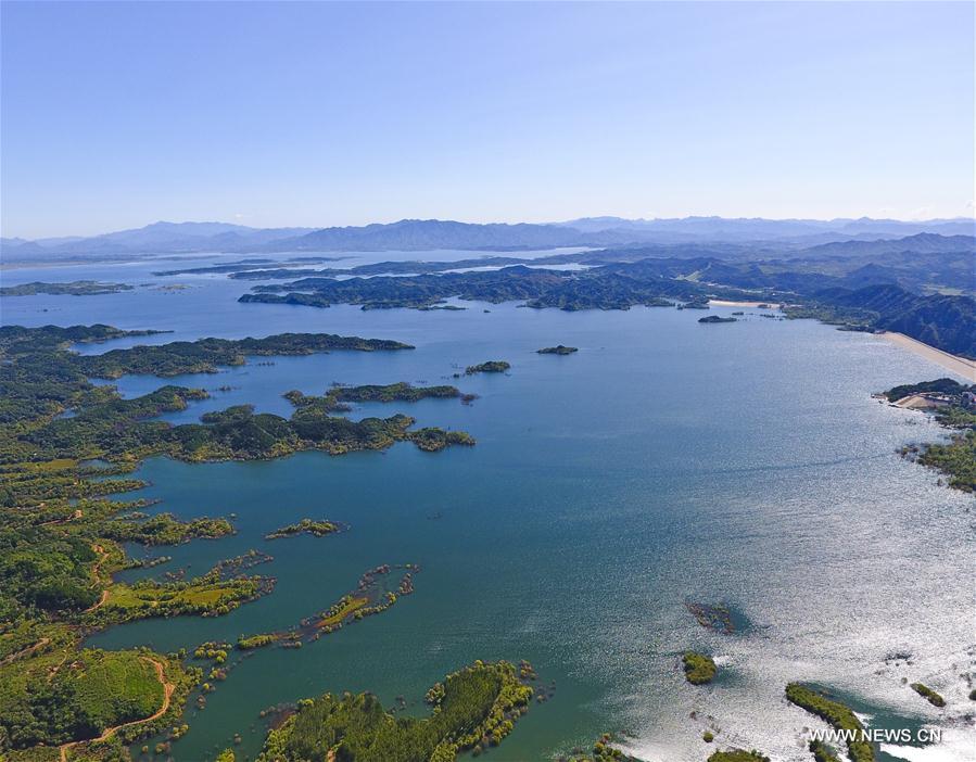 ???? ?????? ???? ???? ???? ?????? ?????