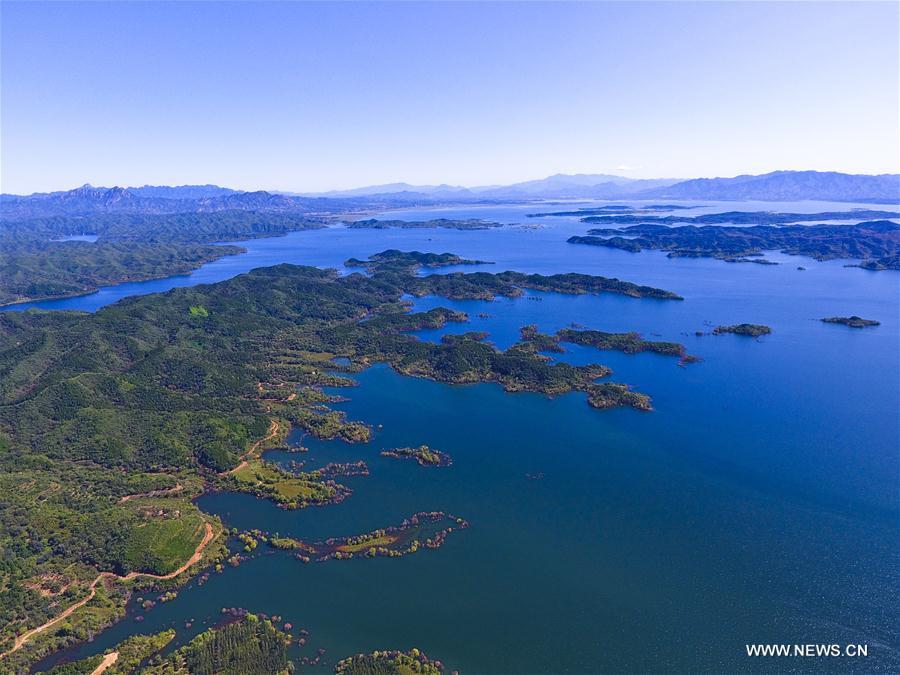 ???? ?????? ???? ???? ???? ?????? ?????