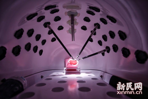  ????? ??????: ???? ??????? ??????? ?? ?????