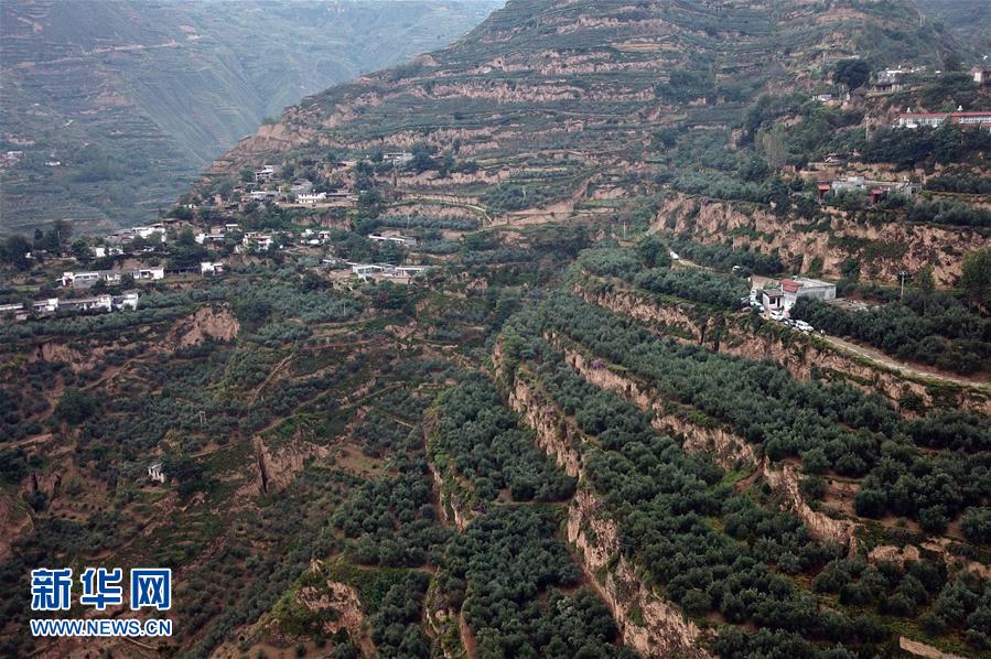 ??????? ????? ???????? ?? ????? ??? ?????? ?? ?????