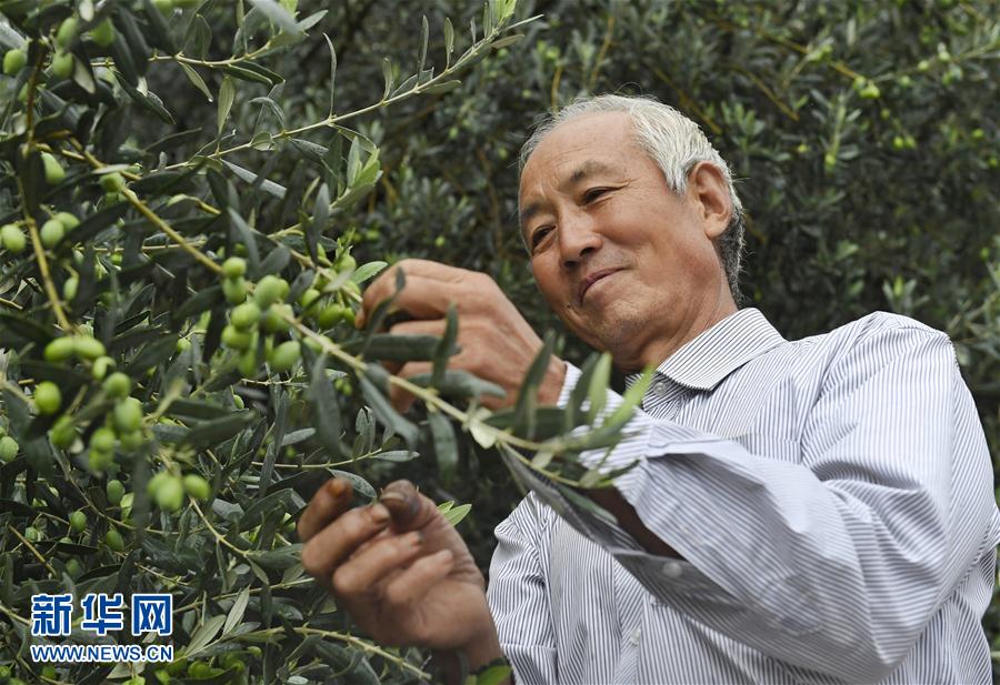 ??????? ????? ???????? ?? ????? ??? ?????? ?? ?????