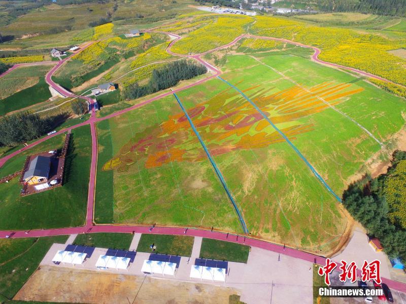 ??????: ???? ??? ??? ?????? ??? ??? ???? ?????