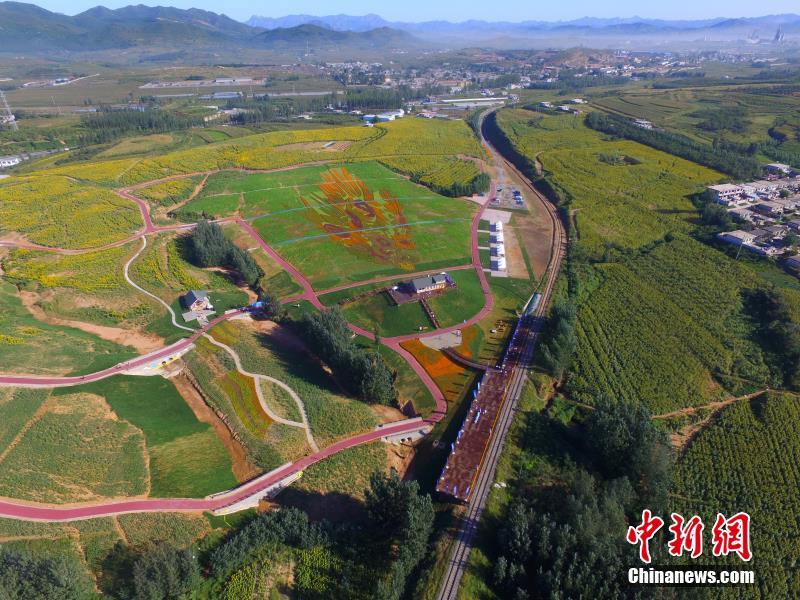 ??????: ???? ??? ??? ?????? ??? ??? ???? ?????