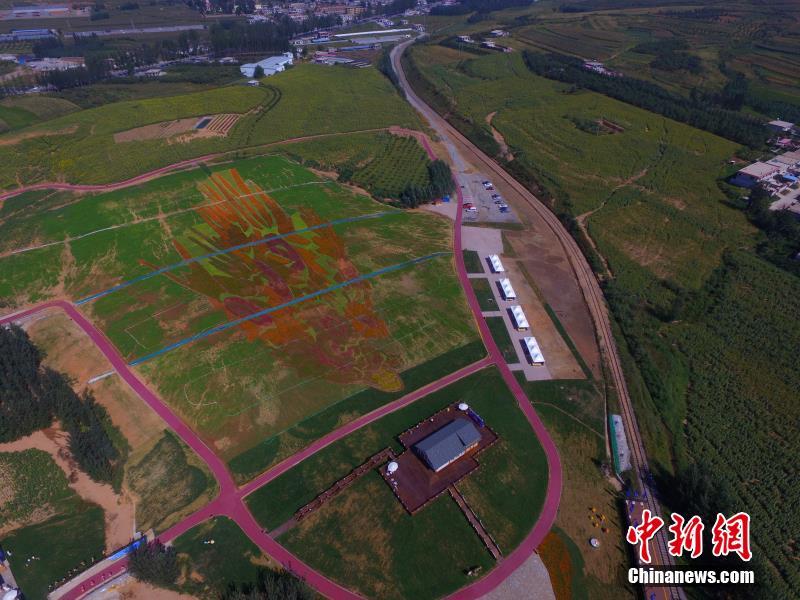 ??????: ???? ??? ??? ?????? ??? ??? ???? ?????