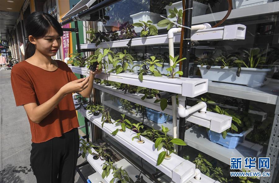 ???????? ?????? ?????? ???