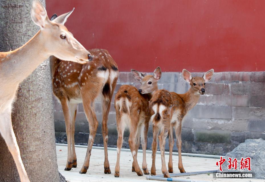 ????? ????? ????? ?? ???? ??????? ???????