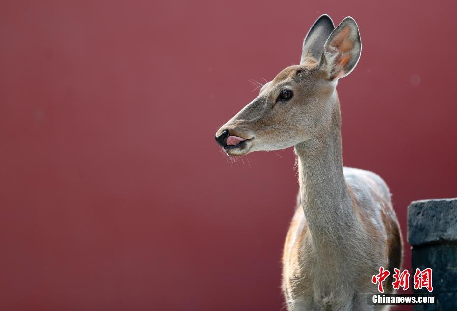 ????? ????? ????? ?? ???? ??????? ???????