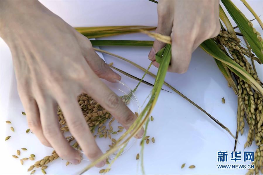 ????? ???? ?? ????? ??? ???? ????????? ?? ???? ?????