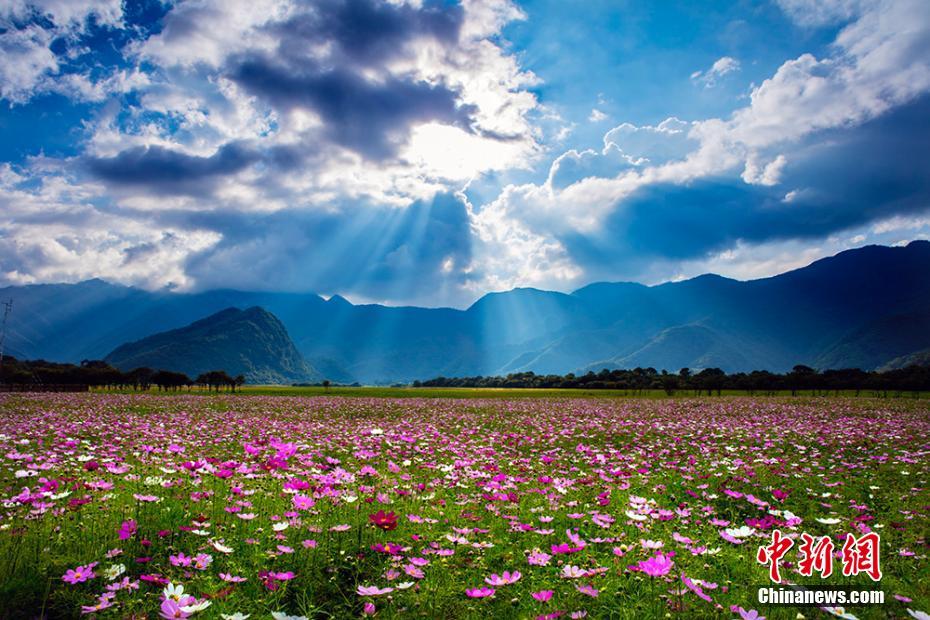 ?????????? ??? ??????? ????? ??????? ?????????