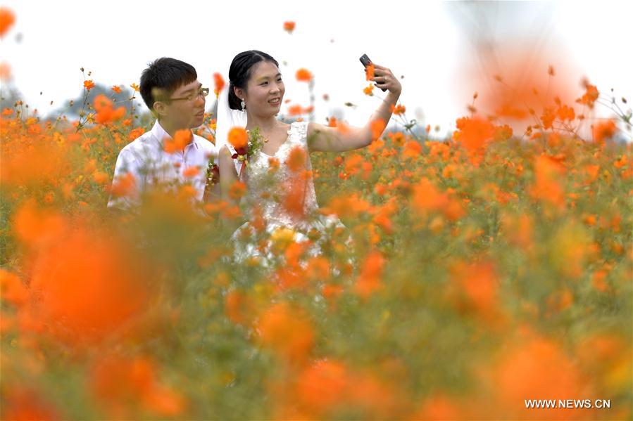 ???? ????? ?????? ??????? ???? ??????? ?? ????????? ????????