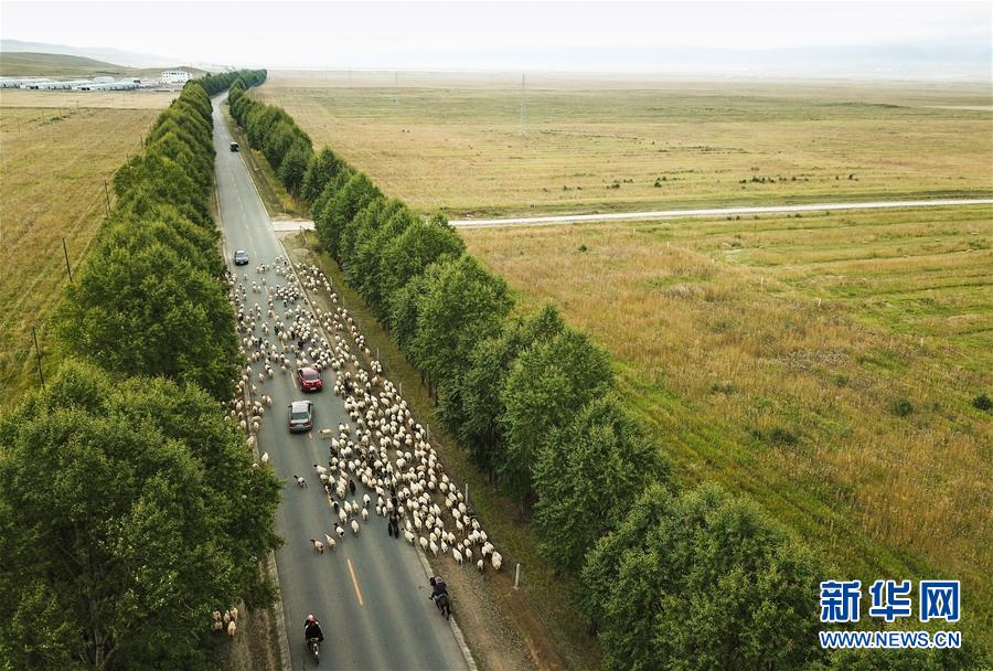 ?????? ... ????? ?????? ??????? ?? ?????? ????????