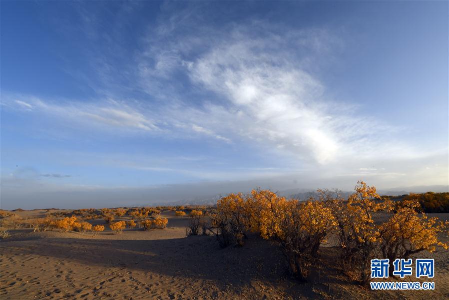 ?????? ... ????? ?????? ??????? ?? ?????? ????????