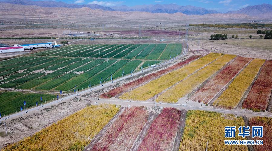 ?????? ... ????? ?????? ??????? ?? ?????? ????????