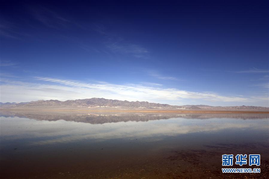 ?????? ... ????? ?????? ??????? ?? ?????? ????????