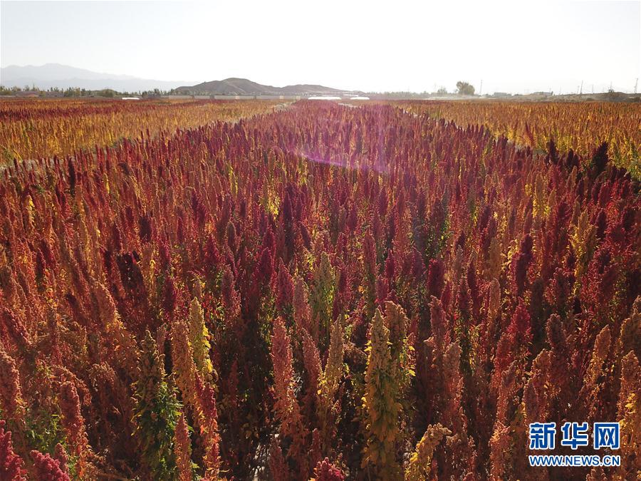 ?????? ... ????? ?????? ??????? ?? ?????? ????????