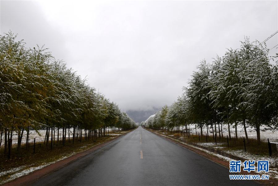 ?????? ... ????? ?????? ??????? ?? ?????? ????????