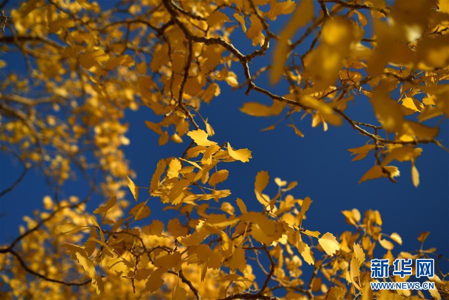 ?????? ... ????? ?????? ??????? ?? ?????? ????????