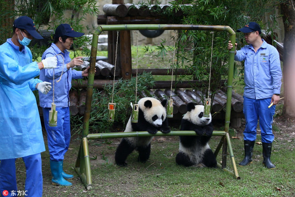 ????? ???????? ????? ???? ????? ???? ?? ???????