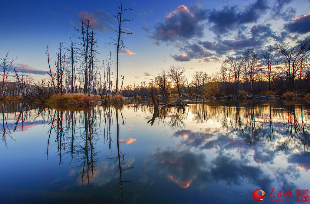 ??????? ???????? ??????? ?? ???? ???? ?????