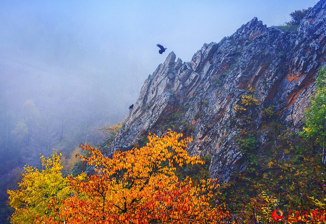 ??????? ???????? ??????? ?? ???? ???? ?????