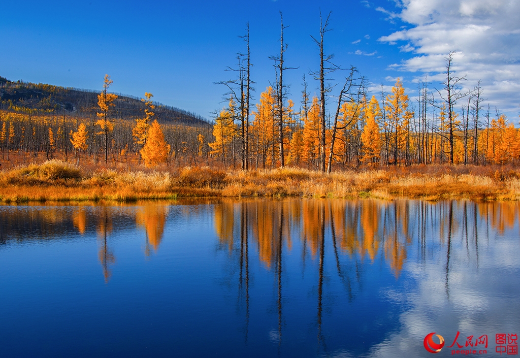 ??????? ???????? ??????? ?? ???? ???? ?????