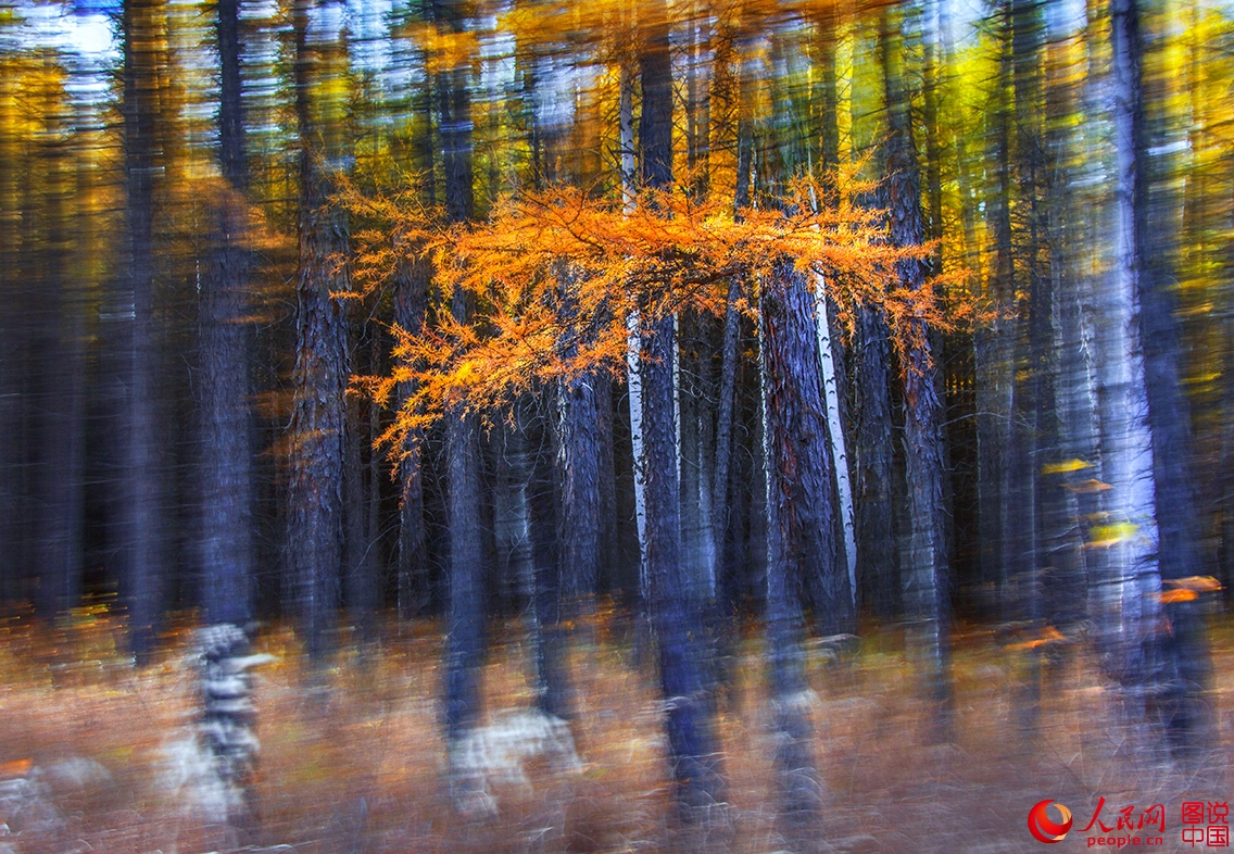 ??????? ???????? ??????? ?? ???? ???? ?????