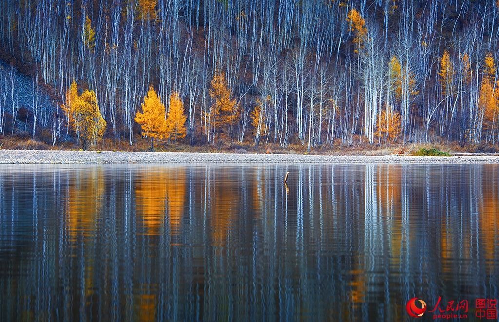 ??????? ???????? ??????? ?? ???? ???? ?????