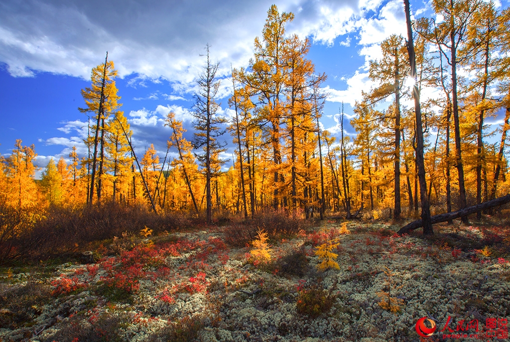 ??????? ???????? ??????? ?? ???? ???? ?????