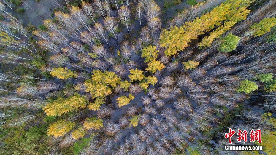 ?????? ???: ???? ????? ?????? ??? ???? ????? ????