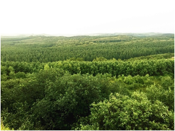 ??????? ??????? ???? ?????????? ??????? ??? ??????? ????????