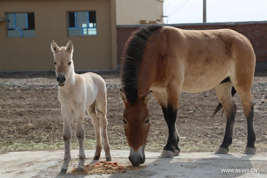 ????? ????? ?? ?????? ??????? ?? ????????