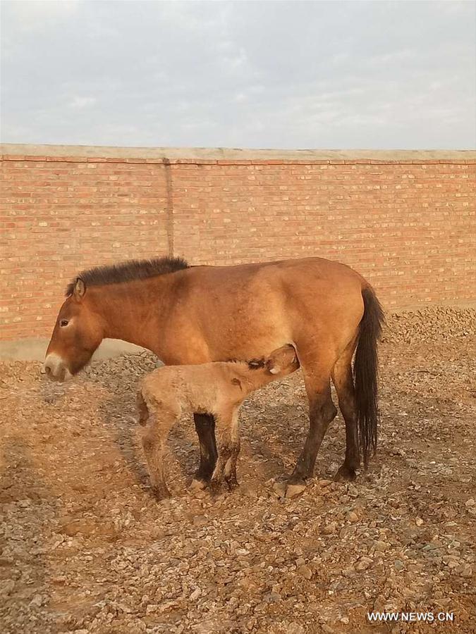 ????? ????? ?? ?????? ??????? ?? ????????