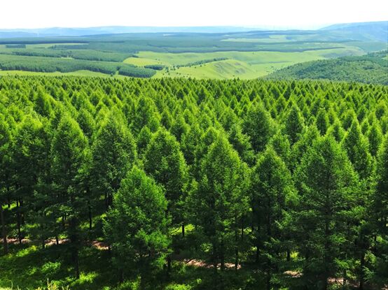 ????? ????? ???? ????? ?????