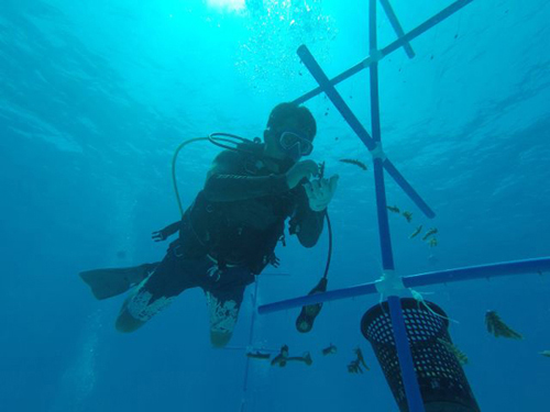 ????? ?????? ?????? ????? ??????? ?? ??? ?????