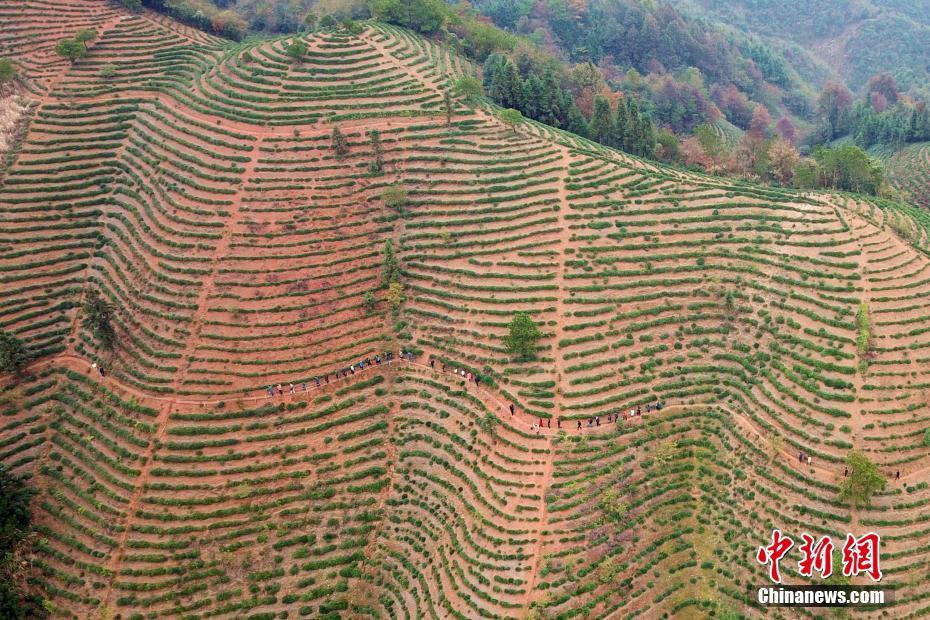 ??? ????.. ????? ??? ???? ?????? ???? 