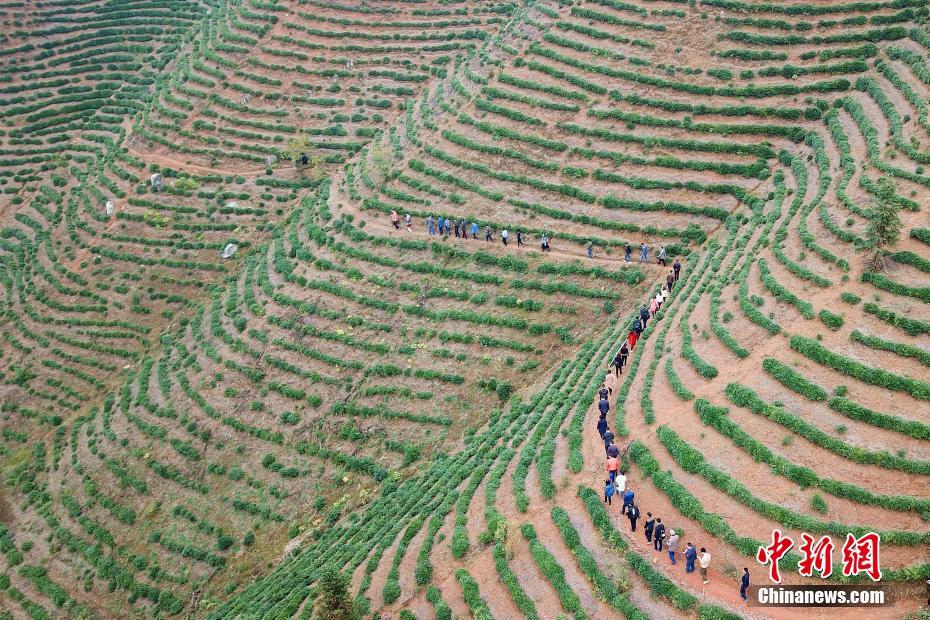 ??? ????.. ????? ??? ???? ?????? ???? 