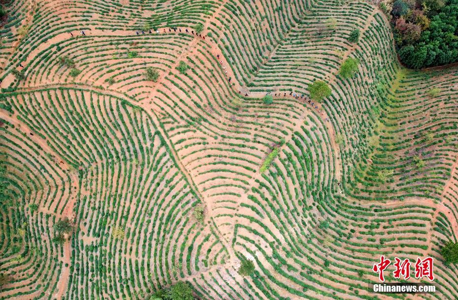 ??? ????.. ????? ??? ???? ?????? ???? 