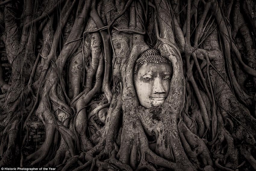 ?????? ???:  ??????? ??????? ?? ?????? ??????? ??????????? ????????