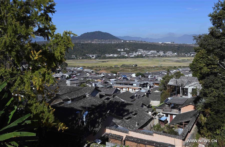 ????? ?? ???? ????? ?? ???? ???? ?????