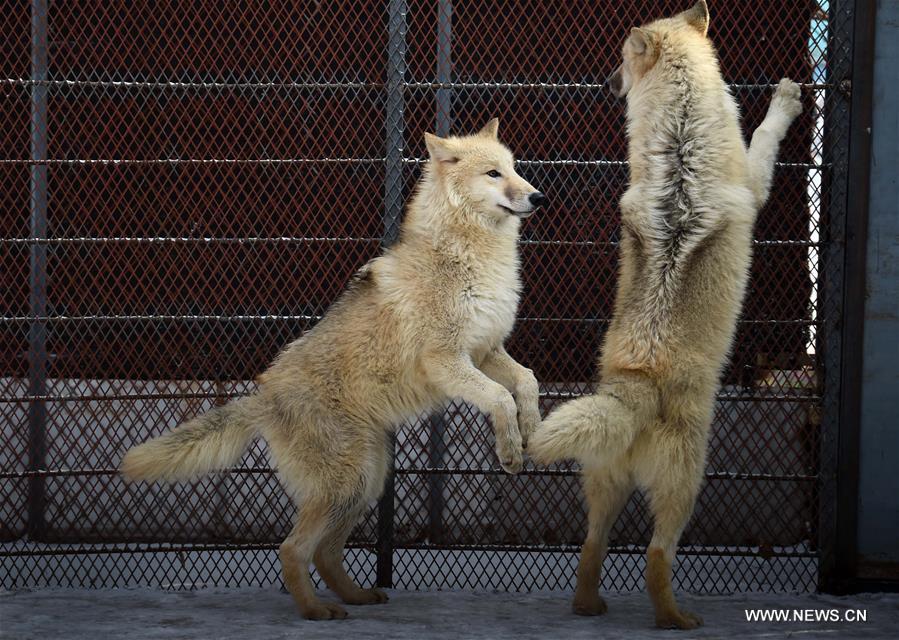 ????? 5 ????? ???? ????? ?? ????? ?? ????? ?????