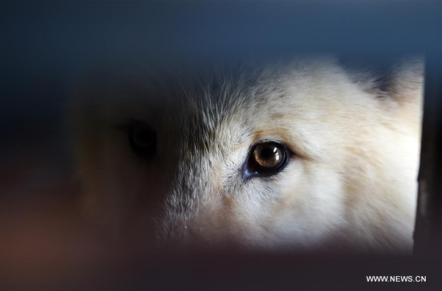 ????? 5 ????? ???? ????? ?? ????? ?? ????? ?????