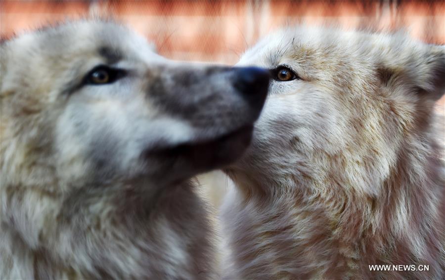 ????? 5 ????? ???? ????? ?? ????? ?? ????? ?????